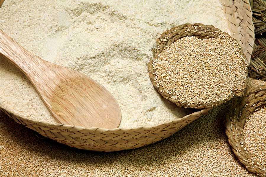 10 kg Harina de Quinoa